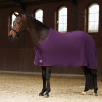 Fleece-Decke Imperial Riding Fundamental Basic Feige Lila