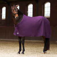 Fleece-Decke Imperial Riding Fundamental Basic Feige Lila