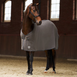 Fleece-Decke Imperial Riding Fundamental Basic Grau