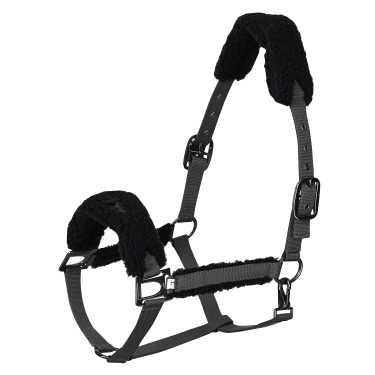 HV Polo Teddy Halfter Wolke Weiß HV Polo Teddy Halfter Wolke Weiß