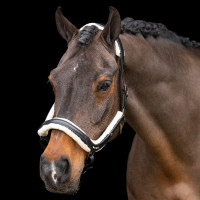 Imperial Riding Luxury Halfter Schwarz