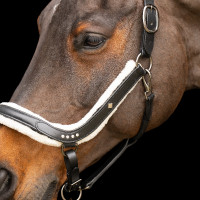 Imperial Riding Luxury Halfter Schwarz