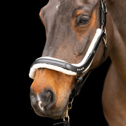 Imperial Riding Luxury Halfter Schwarz Imperial Riding Luxury Halfter Schwarz