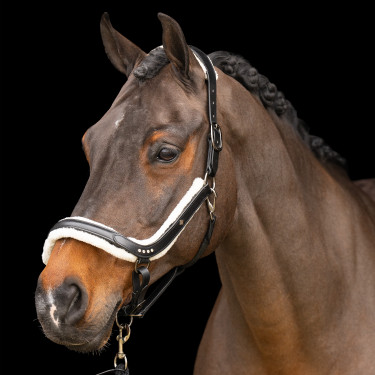 Imperial Riding Luxury Halfter Schwarz Imperial Riding Luxury Halfter Schwarz