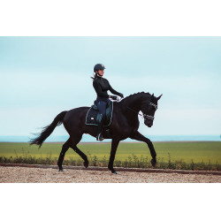 Polobandagen Equestrian Stockholm Schwarz Edition