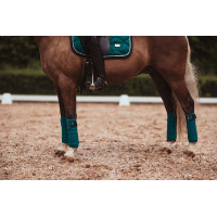 Polobandagen Equestrian Stockholm Ganz in Schwarz glänzend