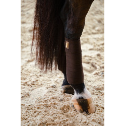 Polobandagen Equestrian Stockholm Goldbraun