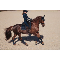 Polobandagen Equestrian Stockholm Ganz in Schwarz glänzend Polobandagen Equestrian Stockholm Ganz in Schwarz glänzend