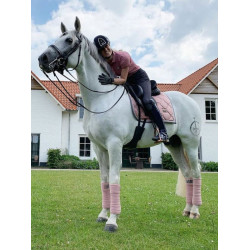 Polobandagen Equestrian Stockholm Pink Rosa