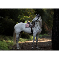 Fliegenhaube Equestrian Stockholm Staubrosa