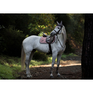 Fliegenhaube Equestrian Stockholm Staubrosa