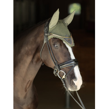 Fliegenhaube Equestrian Stockholm Auffälliges Tal