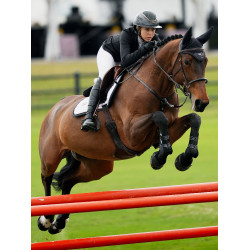 Fliegenhaube Equestrian Stockholm schalldämpfend Dunkler Ozean Marineblau