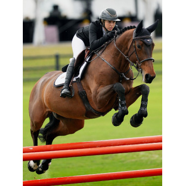 Fliegenhaube Equestrian Stockholm schalldämpfend Dunkler Ozean Marineblau