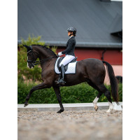Fliegenhaube Equestrian Stockholm schalldämpfend Schwarz