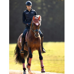 Glocken Equestrian Stockholm Rosa Bernstein Glocken Equestrian Stockholm Rosa Bernstein