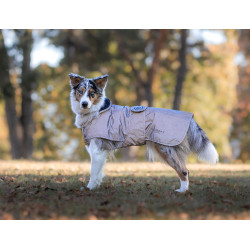 Hundedecke Equestrian Stockholm Reflective Glänzendes Schwarz