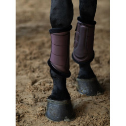 Dressurgamaschen Equestrian Stockholm Endloser Glanz Braun