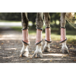 Dressurgamaschen Equestrian Stockholm Pink Rosa