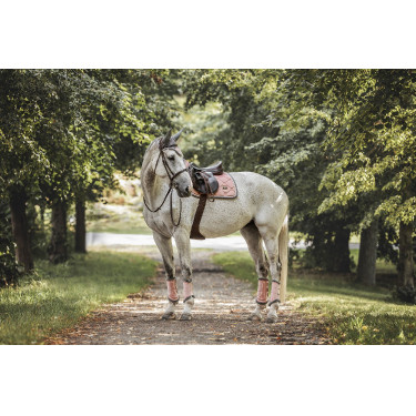 Dressurgamaschen Equestrian Stockholm Pink Rosa