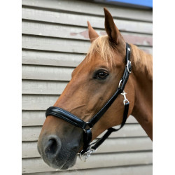 Anatomisches Halfter Norton Pro Anatomisches Halfter Norton Pro