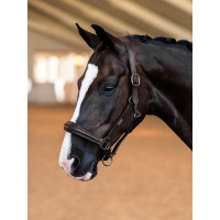 Equestrian Stockholm Anatomic-Lederhalfter mit Glitzer Full Braun Equestrian Stockholm Anatomic-Lederhalfter mit Glitzer Full Braun