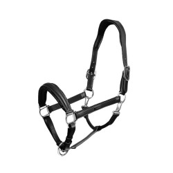 Equestrian Stockholm Anatomic-Lederhalfter mit Glitzer Schwarze Edition Equestrian Stockholm Anatomic-Lederhalfter mit Glitzer Schwarze Edition