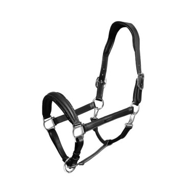 Equestrian Stockholm Anatomic-Lederhalfter mit Glitzer Schwarze Edition Equestrian Stockholm Anatomic-Lederhalfter mit Glitzer Schwarze Edition