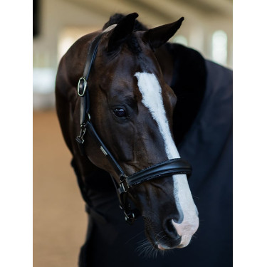 Equestrian Stockholm Anatomic-Lederhalfter mit Glitzer Schwarze Edition Equestrian Stockholm Anatomic-Lederhalfter mit Glitzer Schwarze Edition