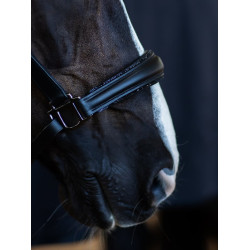 Equestrian Stockholm Anatomic-Lederhalfter mit Glitzer Schwarze Edition Equestrian Stockholm Anatomic-Lederhalfter mit Glitzer Schwarze Edition