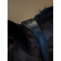 Equestrian Stockholm Anatomic-Lederhalfter mit Glitzer Schwarze Edition Equestrian Stockholm Anatomic-Lederhalfter mit Glitzer Schwarze Edition