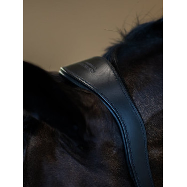 Equestrian Stockholm Anatomic-Lederhalfter mit Glitzer Schwarze Edition Equestrian Stockholm Anatomic-Lederhalfter mit Glitzer Schwarze Edition