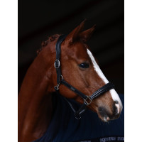 Equestrian Stockholm Anatomic-Lederhalfter mit Glitzer Full Braun