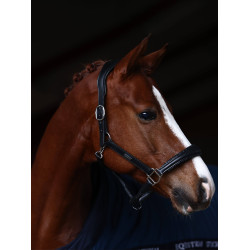 Equestrian Stockholm Anatomic-Lederhalfter mit Glitzer Prärie Blau