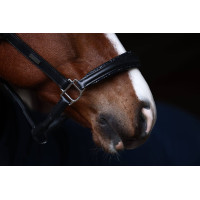 Equestrian Stockholm Anatomic-Lederhalfter mit Glitzer Prärie Blau