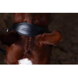 Equestrian Stockholm Anatomic-Lederhalfter mit Glitzer Prärie Blau