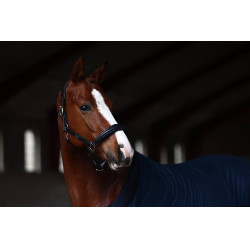 Equestrian Stockholm Anatomic-Lederhalfter mit Glitzer Prärie Blau