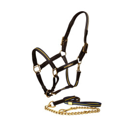 Lederhalfter und -führstrick Equestrian Stockholm Kette Schwedische Nation Lederhalfter und -führstrick Equestrian Stockholm Kette Schwedische Nation