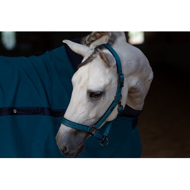 Halfter und Führstrick Equestrian Stockholm Auroreblau Halfter und Führstrick Equestrian Stockholm Auroreblau