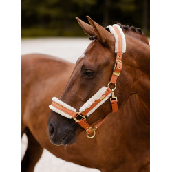Halfter und Führstrick Equestrian Stockholm mit Fell Bronze oder Gold