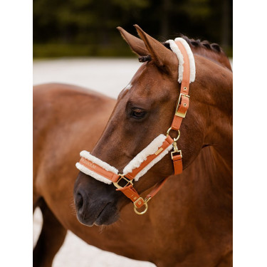 Halfter und Führstrick Equestrian Stockholm mit Fell Bronze oder Gold