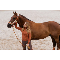 Halfter und Führstrick Equestrian Stockholm mit Fell Bordeaux