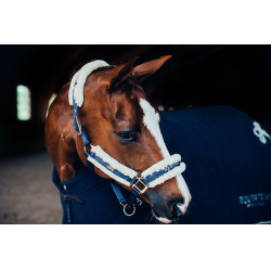 Halfter und Führstrick Equestrian Stockholm mit Fell Marine Marineblau