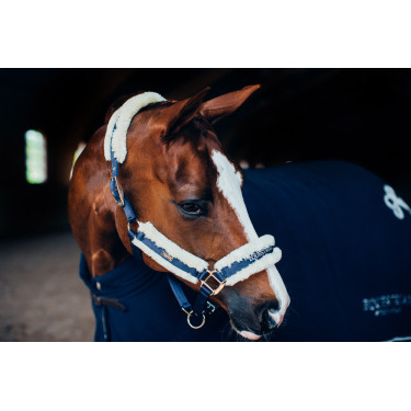 Halfter und Führstrick Equestrian Stockholm mit Fell Marine Marineblau