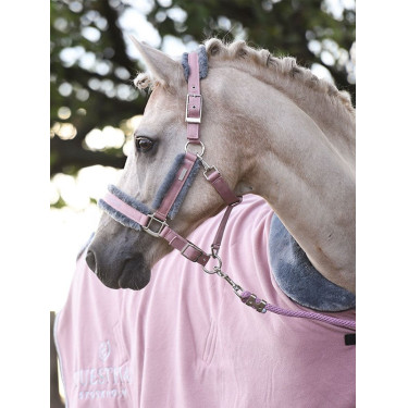 Halfter und Führstrick Equestrian Stockholm mit Fell Pink Rosa