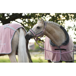 Halfter und Führstrick Equestrian Stockholm mit Fell Pink Rosa