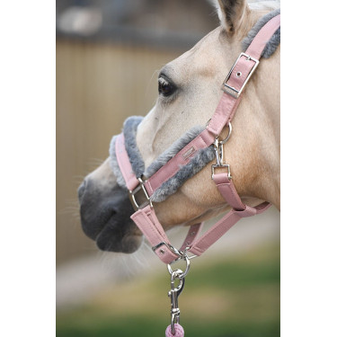Halfter und Führstrick Equestrian Stockholm mit Fell Pink Rosa