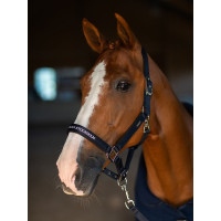 Halfter und Führstrick Equestrian Stockholm flach Marine moderne Tech Halfter und Führstrick Equestrian Stockholm flach Marine moderne Tech