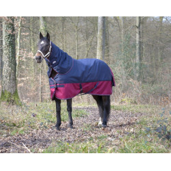 Halsabdeckung Equithème Tyrex 1200 D 0g Marine / Bordeaux Blau Halsabdeckung Equithème Tyrex 1200 D 0g Marine / Bordeaux Blau