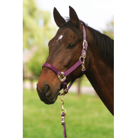 Halfter Equithème Nylon Violett Lila